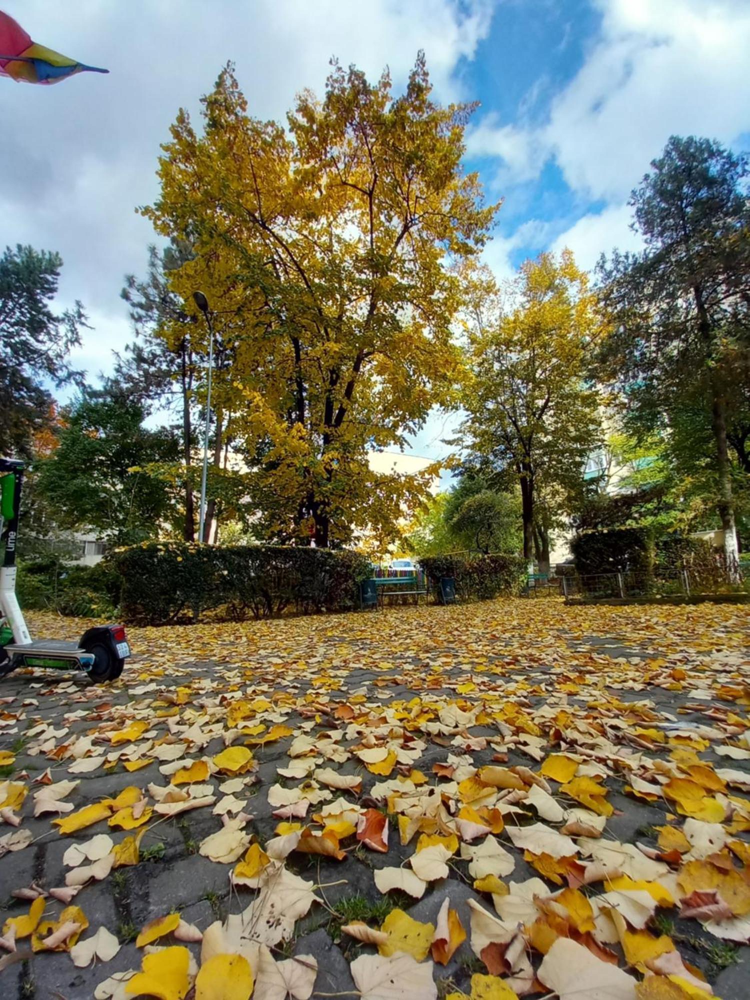 Apartament Dacia Targu-Mures Bagian luar foto
