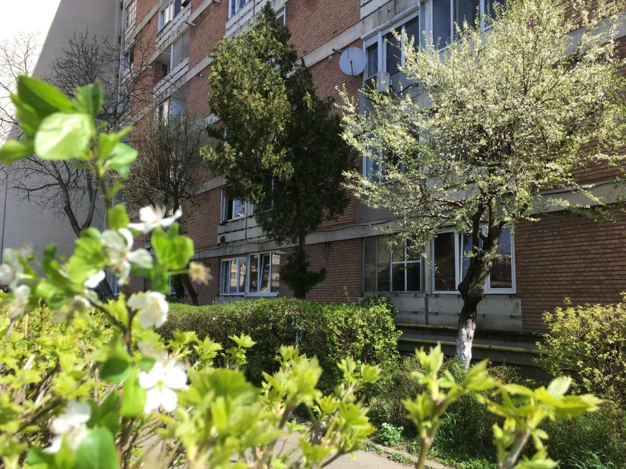 Apartament Dacia Targu-Mures Bagian luar foto